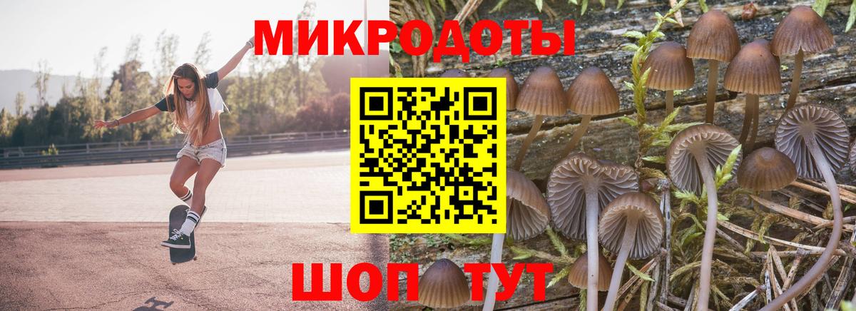Псилоцибиновые грибы Psilocybine cubensis  Псилоцибиновые грибы мицелий  Вход с VPN  Ханты-Мансийск 